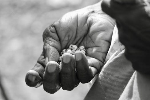 The Strategic Layer: Unpacking Supplemental Life Insurance